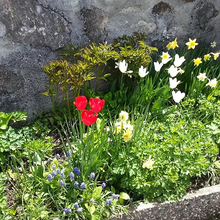 Chasa Suot Chaste 公寓