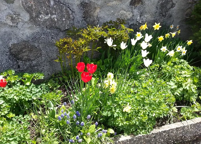 Chasa Suot Chasté Appartement